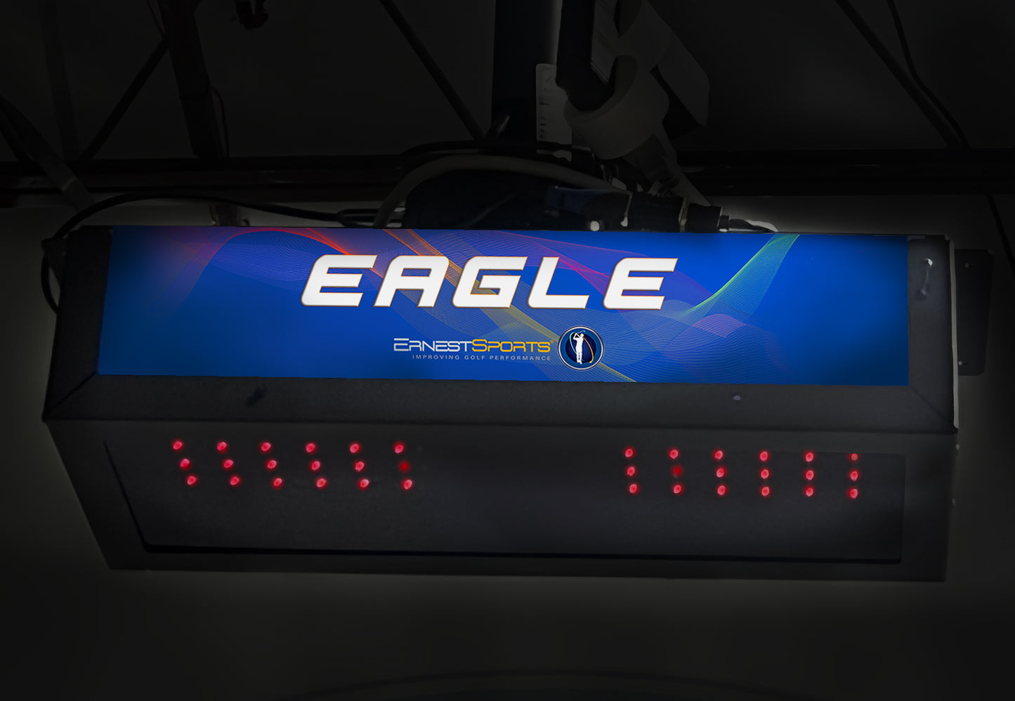 Eagle Sim